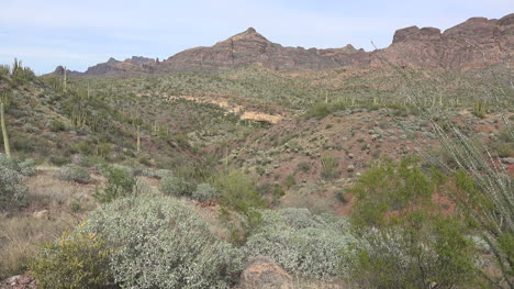 Vista-Del-Valle-Del-Desierto-De-Arizona