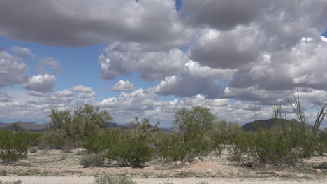 Arizona-Desert-With-Clouds-Pan