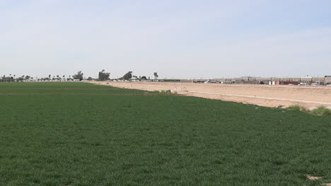 Arizona-Irrigated-Field-Pan