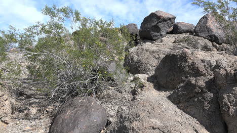 Rocas-De-Arizona-Con-Arbustos