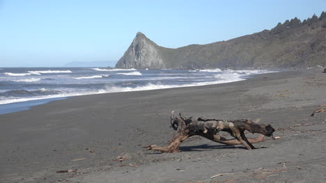 California-Beach-An-Einer-Trockenen-Lagune-Mit-Interessantem-Treibholz