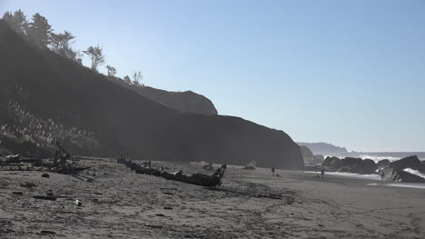 California-Beach-Drift-Wood-Y-Personas