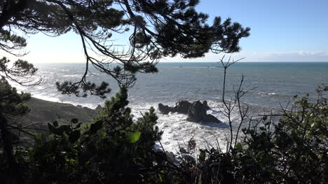 California-Patricks-Point-Best-Rocks-Waves-And-Tree-Branches