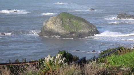 California-Turtle-Rock-Mit-Vordergrund-Unkraut