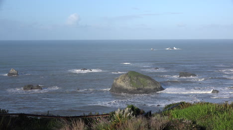 Roca-De-Tortuga-De-California