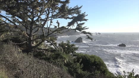 Kalifornien-Baum--Und-Küstenansicht-Patricks-Point-Schwenken-Und-Zoomen-Point