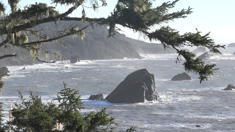 California-Tree-Frames-Coast-And-Rock-At-Patricks-Point-Zoom-In
