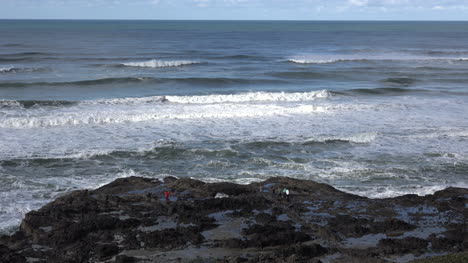 Oregon-View-Of-Thors-Well-Sprouting-At-Cape-Perpetua-Sound-Pan