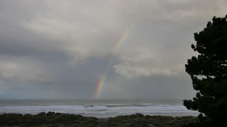 Oregon-Regenbogen-Vorbei-Am-Baum-über-Dem-Meer