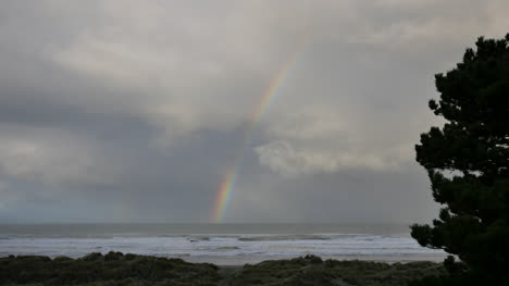 Oregon-Arco-Iris-Pasado-árbol-Sobre-Mar