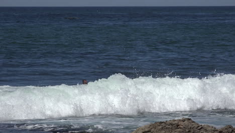 Kalifornien-Santa-Cruz-Ein-Surfer-Reitet-Auf-Den-Wellen-Surf