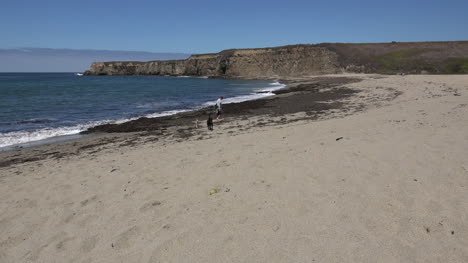 California-Santa-Cruz-Black-Dog-With-Man-On-Beach