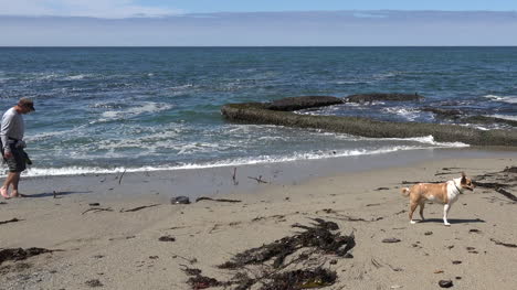 Kalifornien-Santa-Cruz-Mann-Am-Strand-Mit-Hundepfanne