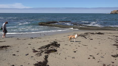 Kalifornien-Santa-Cruz-Mann-Am-Strand-Mit-Hund