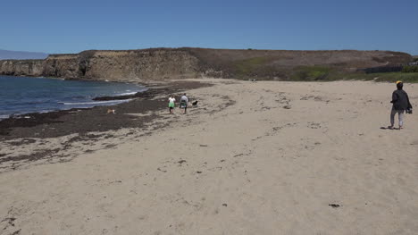 California-Santa-Cruz-Man-On-Sandy-Beach-Pan-And-Zoom