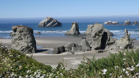 Oregon-Bandon-Blumen-Rahmen-Strandansicht-Verkleinern