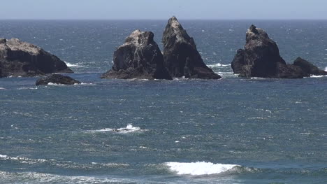 Oregon-Bandon-Sea-Stacks-Off-Shore-Pan-And-Zoom-Out