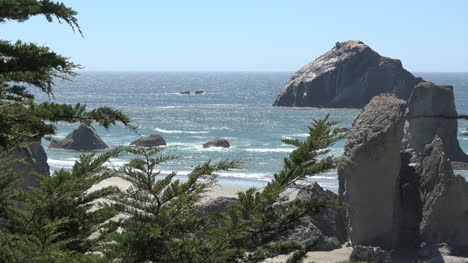 Oregon-Bandon-Baumrahmen-Gesicht-Rock-Pan-Und-Zoom