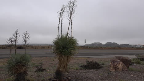 Carretera-Alpina-De-Texas-Con-Yuca-Helada