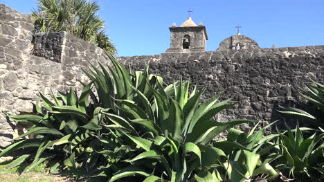 Texas-Goliad-Presidio-La-Bahia-Maguey-By-Wall