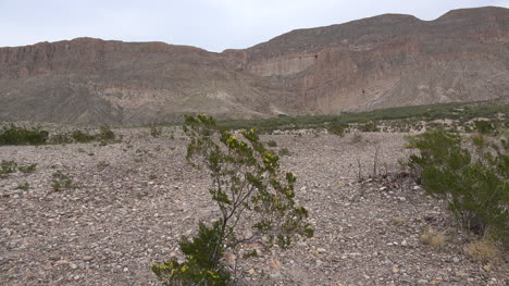 Texas-Big-Bend-Cañón-De-Boquillas-En-La-Distancia