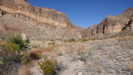 Texas-Big-Bend-Burro-Mesa-Und-Blühende-Yucca-An-Der-Seite