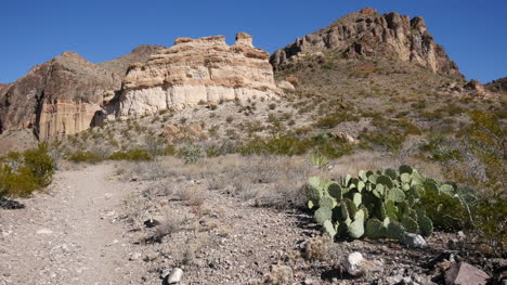 Texas-Big-Bend-Burro-Mesa-With-Opuntia