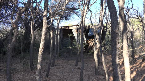 Texas-Big-Bend-Sam-Nail-Ranch-Woods