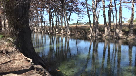 Texas-Medina-River-Zypressen-Im-Wasser-Reflektiert