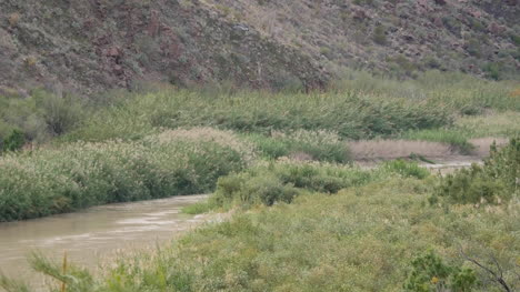 Texas-Rio-Grande-Fluss-Fließt-Durch-Überschwemmungsgebiet