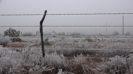 Texas-Landschaft-Mit-Eis-Am-Zaun