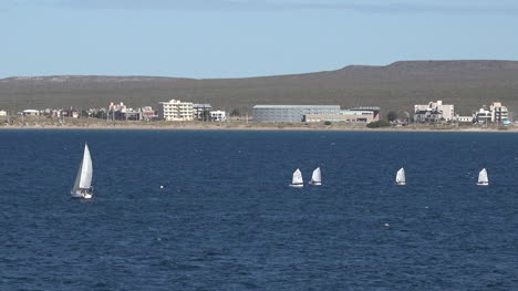 Argentinien-Puerto-Madryn-Segelboote-Schwenken-Und-Zoomen