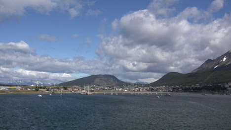 Argentina-Ushuaia-Muchas-Aves