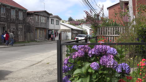 Chile-Chiloe-Chonchi-Flowers-And-Street