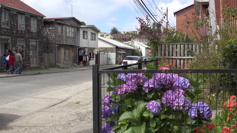 Chile-Chiloe-Chonchi-Flores-Y-Calle