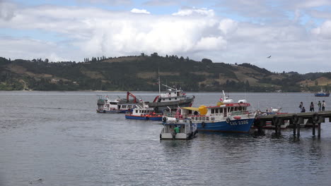 Chile-Chiloe-Excursion-Boats-And-Dock