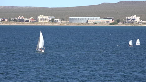 Argentinien-Puerto-Madryn-Mehrere-Segelboote