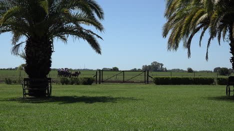 Argentina-Estancia-Buggy-Goes-By