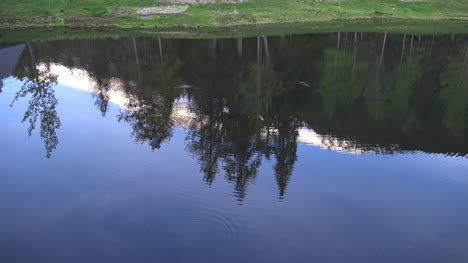 Alaska-Alyeska-Reflection-Of-Trees-And-Mountain