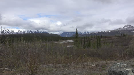 Alaska-Denali-Park-Blick-Auf-Den-Fluss-Vergrößert-Sich