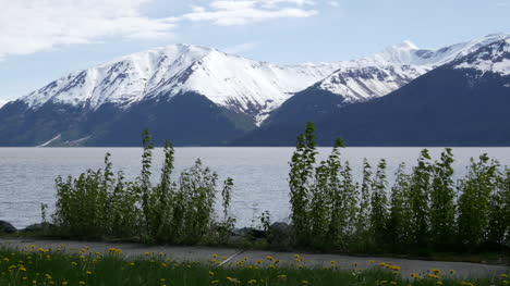 Alaska-Turnagain-Armansicht-Pan