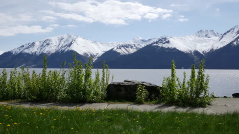 Vista-Del-Brazo-De-Alaska-Alaska-Con-Montañas
