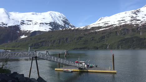 Alaska-Weißer-Schwimmdock