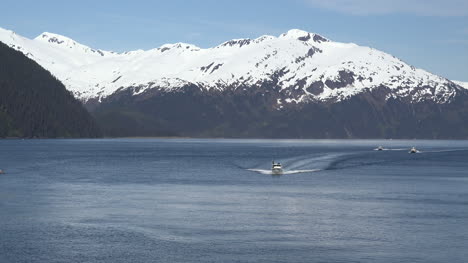 Alaska-Boote-Nähern-Sich-Weißer-Zoom-In