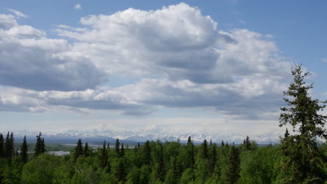 Alaska-Wolken-Und-Nördliche-Waldpfanne
