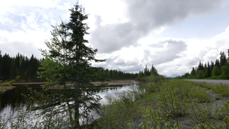 Alaska-Highway-By-Beaver-Pond