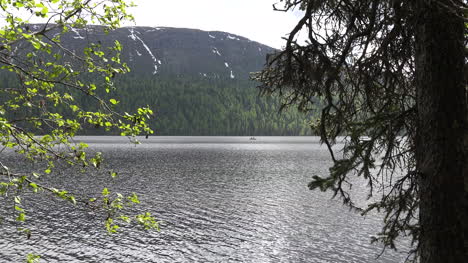 Alaska-Lake-Spring-Leaves-And-Lake