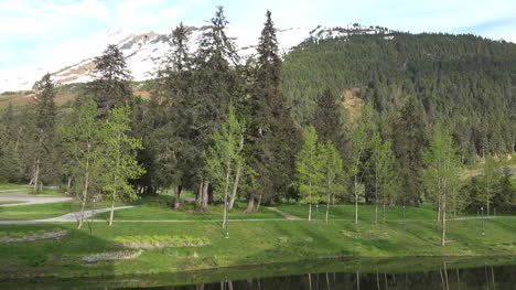 Alaska-Berg-Und-Bäume-Mit-Rasen