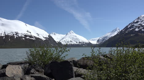 Alaska-Plants-In-Front-Of-Portage-Lake