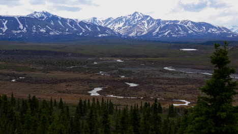Río-Alaska-En-El-Valle-En-El-Parque-Denali-Zoom-Y-Pan